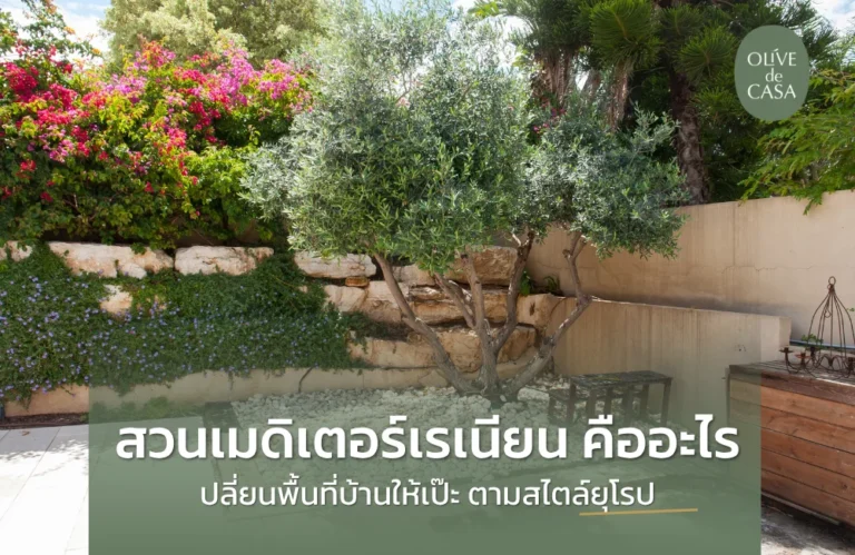 สวนเมดิเตอร์เรเนีย