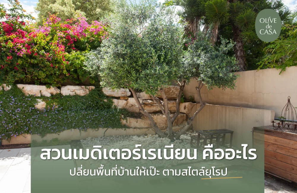 สวนเมดิเตอร์เรเนียน สวรรค์แห่งการพักผ่อน เสน่ห์เหนือกาลเวลาสไตล์ยุโรปใต้