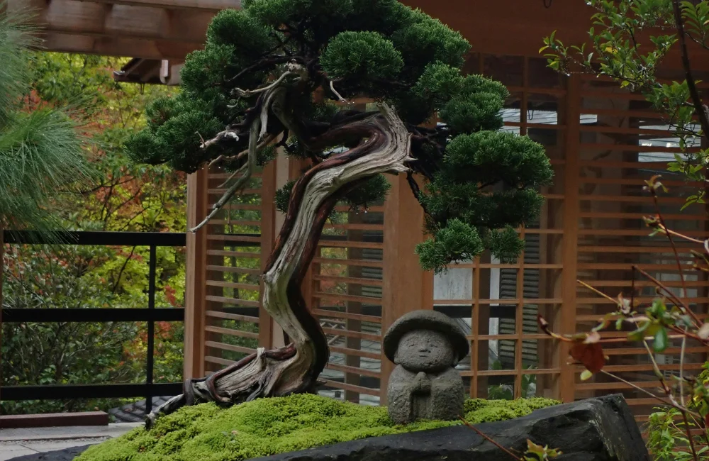 สวนแบบญี่ปุ่น