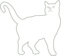 Cat Outline