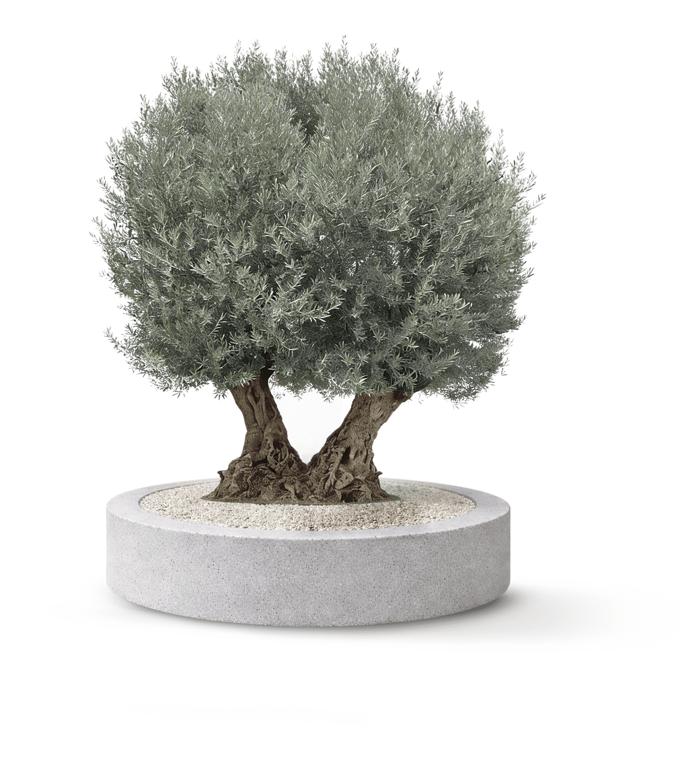 Hojiblanca Twin Multi