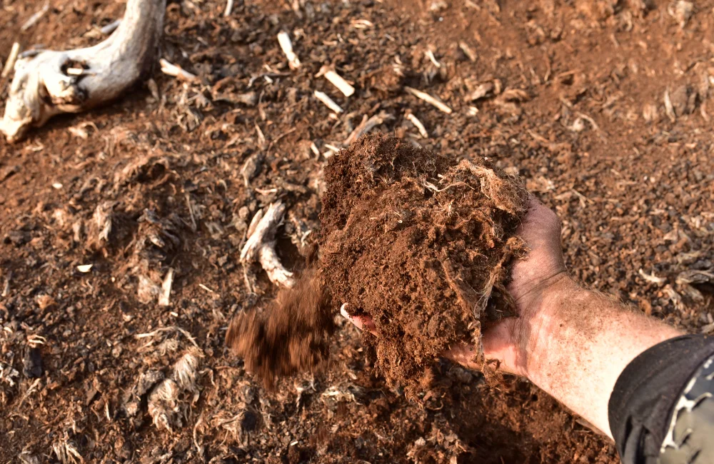 Peat Moss ผสมดินปลูก