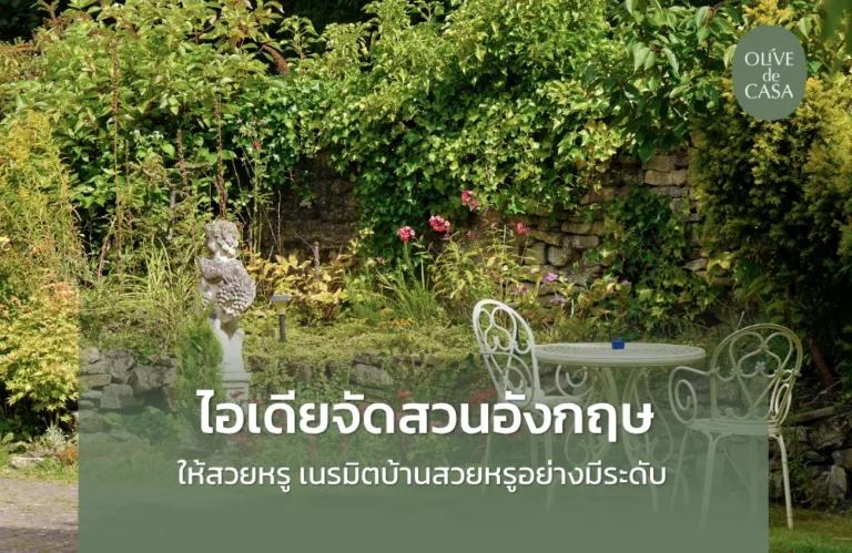ไอเดียจัดสวนอังกฤษ