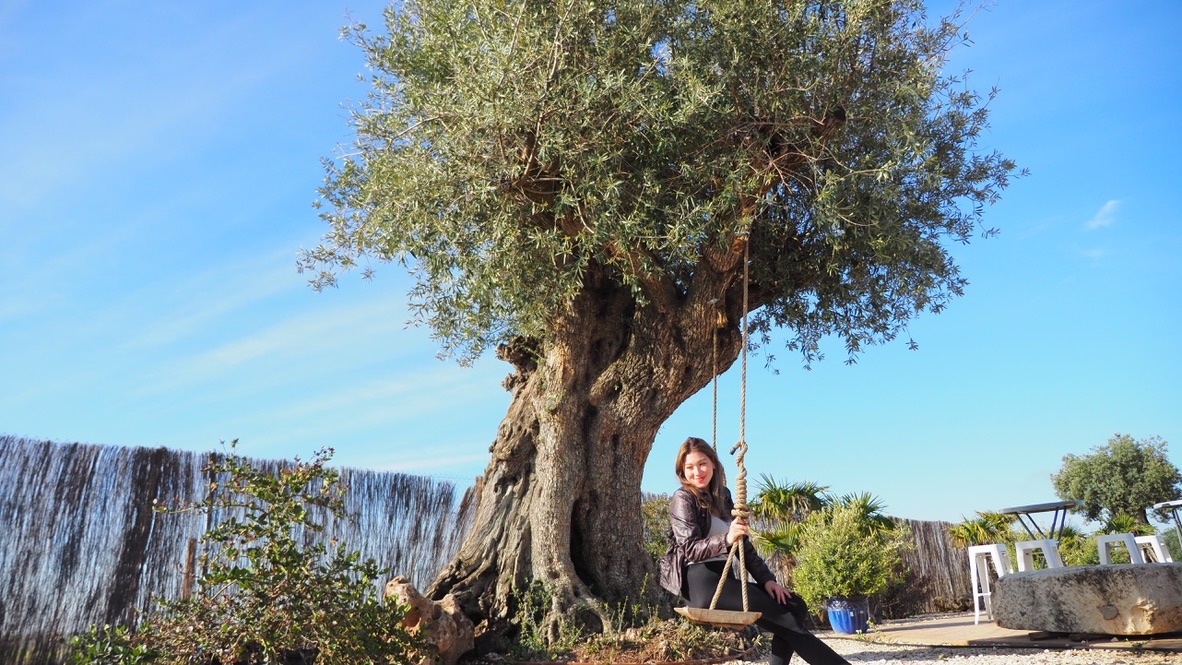 ณัฐธิดา อิงคะวัต ผู้ร่วมก่อตั้ง Olive De Casa กับต้นมะกอกโอลีฟที่ Elche ประเทศสเปน