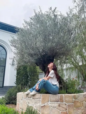Baifern Pimchanok Luevisadpaibul sits beside an olive tree on a stone planter edge.