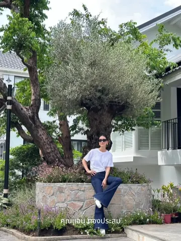 Anne Thongprasom sits on a stone planter edge beside an olive tree.