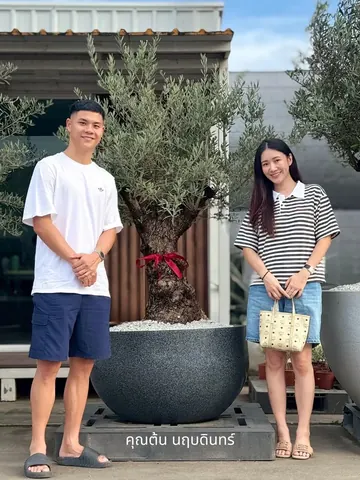 Ton Naruebodin Weerawatnodom and another person stand beside an olive tree in a large round planter.