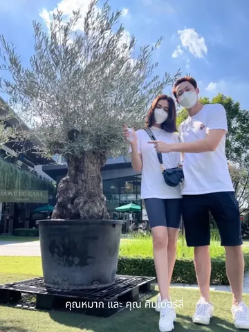 Mark Prin Suparat and Kimberley Anne Woltemas pose beside an olive tree in a large dark planter.