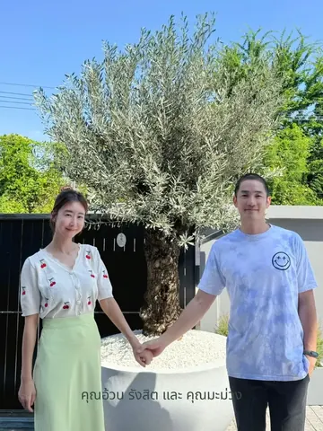 FatMango Family members hold hands beside an olive tree in a white planter.